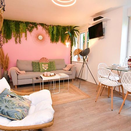 Ferienwohnung Le Nid Cosy - En Plein Coeur De Sélestat Exterior foto