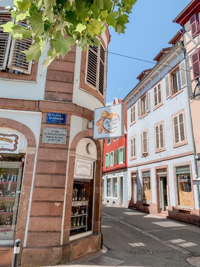 Ferienwohnung Le Nid Cosy - En Plein Coeur De Sélestat Exterior foto