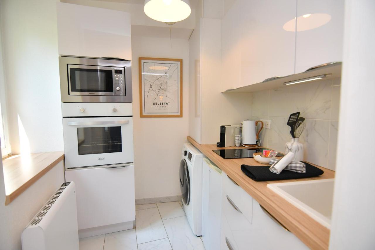 Ferienwohnung Le Nid Cosy - En Plein Coeur De Sélestat Exterior foto